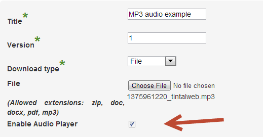 Insert the title and version of the music file that is ready to be downloaded from your website - Controlling Access to Music Files with Our WordPress Download Manager