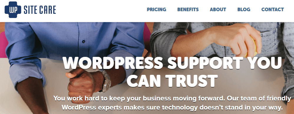 Paid Services - Where to Find Good WordPress Support