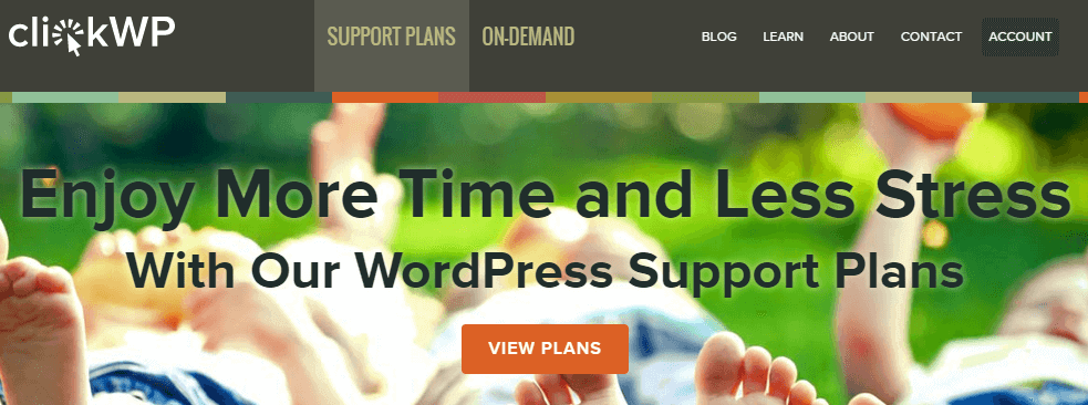 Paid Services - Where to Find Good WordPress Support