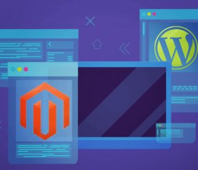 WordPress and Magento – Essential Integration TIps