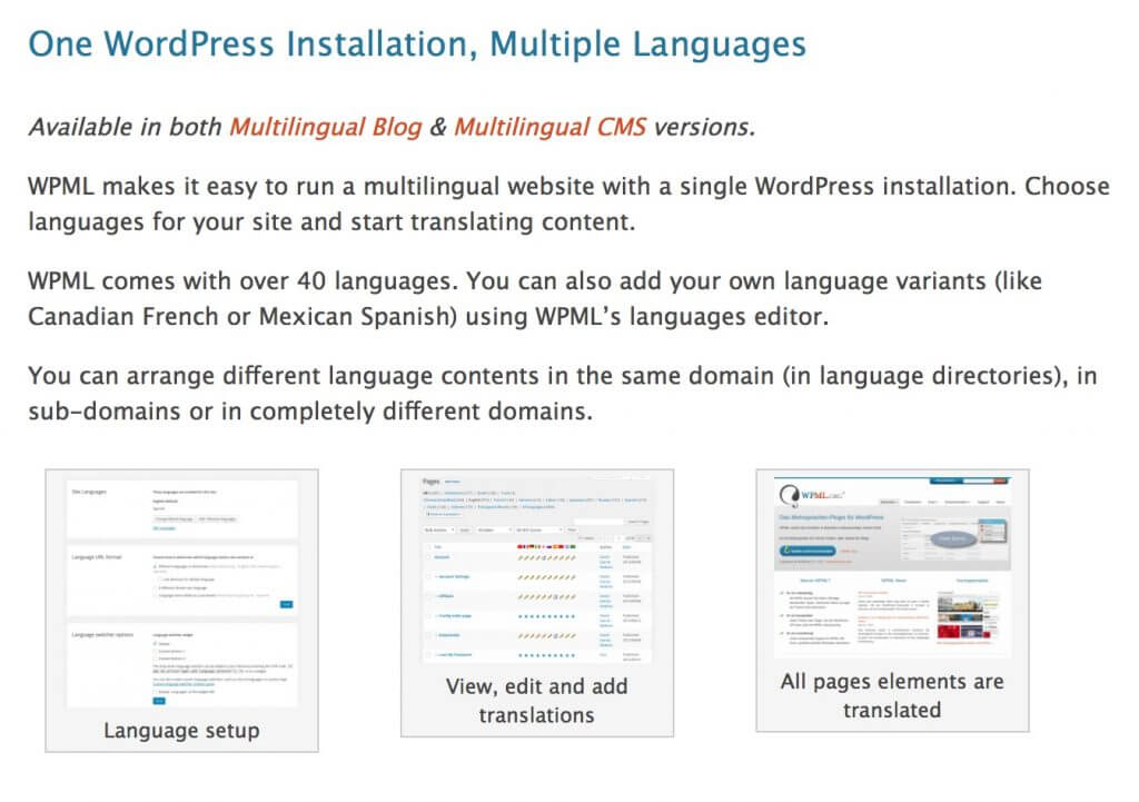 The WPML Multilingual Plugin - How a Glossary Helps (a Lot) Multilingual WordPress Websites