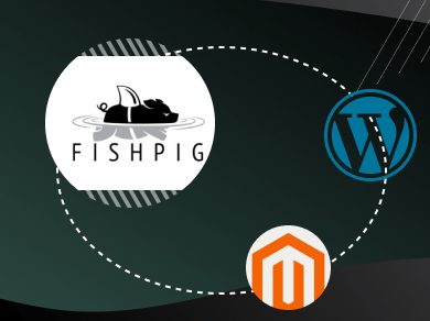 Magento WordPress Integration by Fishpig - Best Practices for Integrating WordPress and Magento in 2020