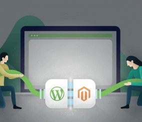 Best Practices for Integrating WordPress and Magento in 2020