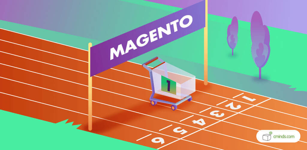 6 Facts You Didn’t Know About Magento
