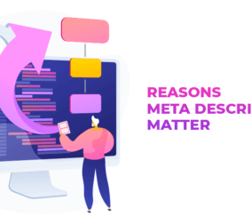 Do Meta Descriptions Matter? A Look at SEO, CTR and More!