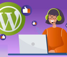 SEO, Cache and More – The Best Plugins to Blog With WordPress