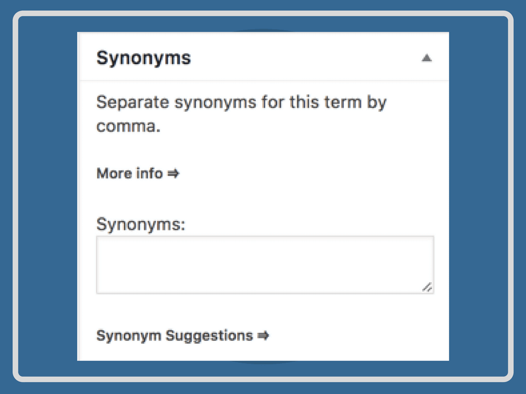 Synonyms Input Area on a WordPress Glossary Page 
