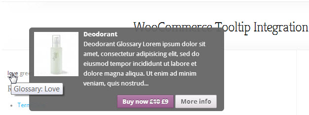 Tooltip WooCommerce - Overview of the Glossary eCommerce Plugin For WordPress