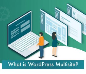What is it and how to use WordPress Multisite
