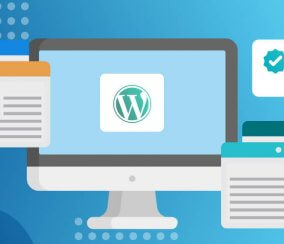 Can You Edit WordPress Plugins?