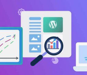 The Ultimate Guide to WordPress Statistics – 2022 Rundown