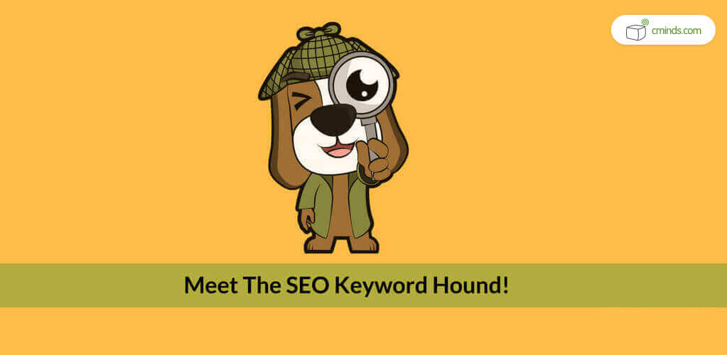 What Is a WordPress SEO Plugin? And Do I Need One?