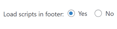 Footer Scripts