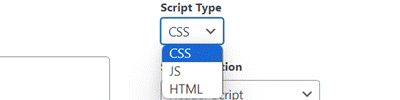 Choose Script Type