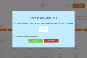 Only year verification with the terms of services accept and decline buttons