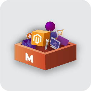 Magento Extension Support