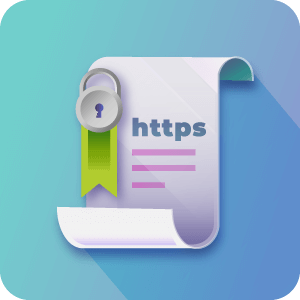 CM WordPress HTTPS Pro